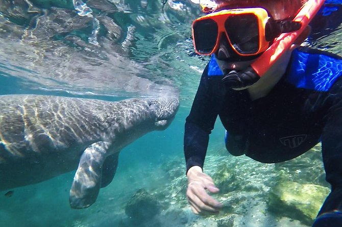 Manatee Swim Tour with In Water Photographer - Key things to know before you go