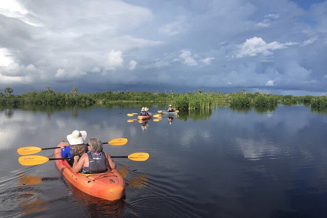 Manatees and Mangrove Tunnels Small Group Kayak Tour - Why This Naples Kayak Tour Works for Manatees in Winter