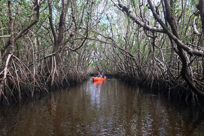 Manatees and Mangrove Tunnels Small Group Kayak Tour - Paddling Practicalities: Sun, Bugs, and How to Avoid a Sore Day