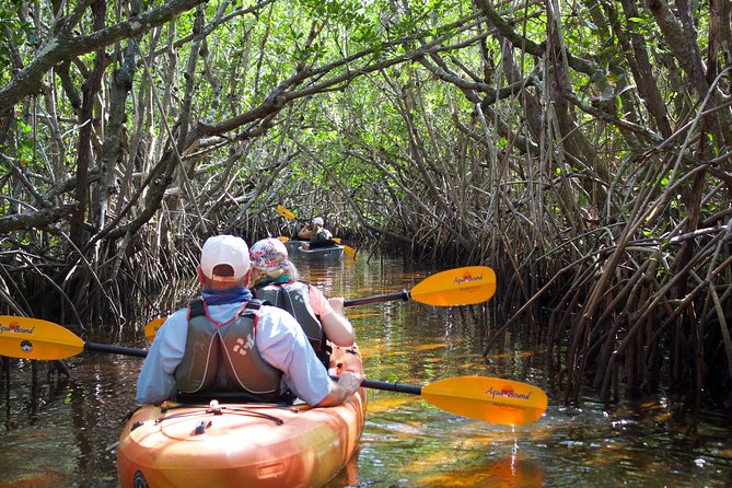 Manatees and Mangrove Tunnels Small Group Kayak Tour - The Shuttle Route Stops: What Each Named Place Means