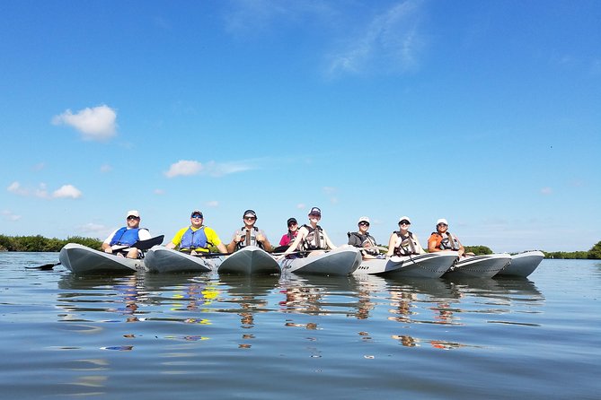 Mangrove Tunnels, Dolphins, Manatee Tour #1 Rated in Cocoa Beach - Mangrove Tunnels and Wildlife Timing in Cocoa Beach