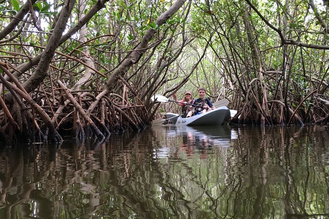 Mangrove Tunnels, Dolphins, Manatee Tour #1 Rated in Cocoa Beach - The 2-Hour Route: Calm Water, Then Tunnel Labyrinths