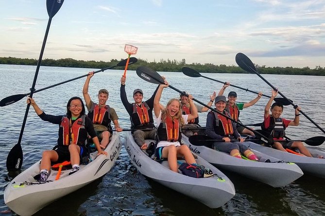 Mangrove Tunnels, Dolphins, Manatee Tour #1 Rated in Cocoa Beach - Price, Value, and What to Bring for a Comfortable Paddle