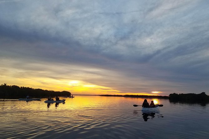 Mangrove Tunnels, Dolphins, Manatee Tour #1 Rated in Cocoa Beach - Kayak Setup That Works for First-Timers (Single or Tandem)