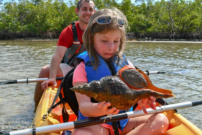 Mangrove Tunnels & Mudflats Kayak Tour - Local Biologist Guides - Why paddling Rookery Bay mangrove tunnels from Naples feels different