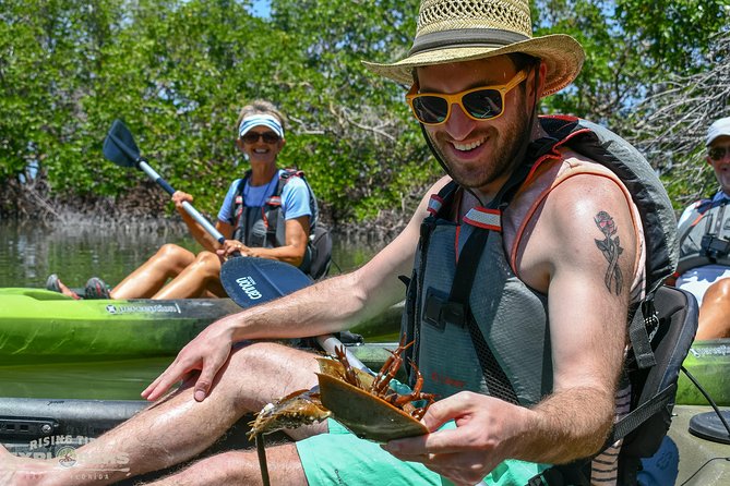 Mangrove Tunnels & Mudflats Kayak Tour - Local Biologist Guides - What wildlife you might see, plus the low-tide tip that matters