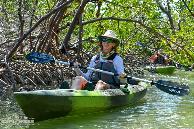 Mangrove Tunnels & Mudflats Kayak Tour - Local Biologist Guides - Meeting at Isle of Capri Paddlecraft Park, and what to expect for timing