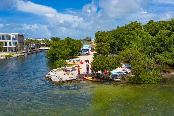 Mangroves and Manatees - Guided Kayak Eco Tour - Wildlife Spotting That’s Based on Habitat, Not Magic
