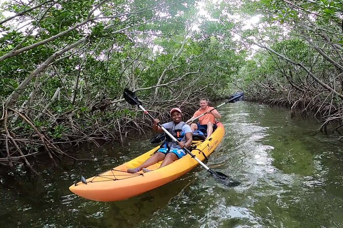 Mangroves and Manatees - Guided Kayak Eco Tour - Single vs. Double Kayak: Which One Fits Your Group
