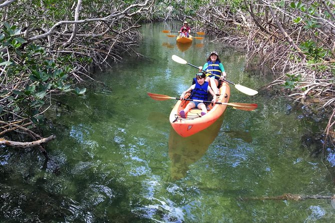Mangroves and Manatees - Guided Kayak Eco Tour - The Guide Factor: Why People Keep Mentioning Names