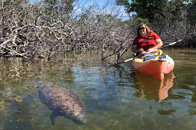Mangroves and Manatees - Guided Kayak Eco Tour - How Challenging Is It Really for First-Time Paddlers?