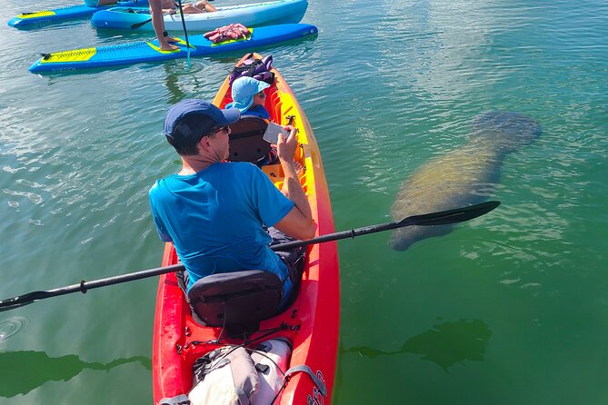 Mangroves, Manatees, and a Hidden Beach: Kayak Tour - Key things I think you will like