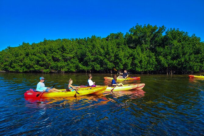 Mangroves, Manatees, and a Hidden Beach: Kayak Tour - Small group size, safety gear, and why the guide matters
