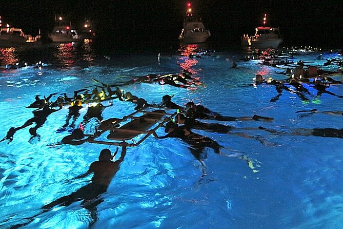 Manta Magic: Small-Group Manta Ray Night Snorkel in Kailua Kona - Key Things I’d Focus On Before You Go