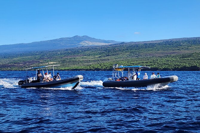 Manta Ray Night Snorkel at Kona, Big Island - Snorkeling plan: about 30 minutes, lighted board, and close manta encounters