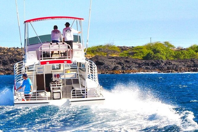 Manta Ray Night Snorkel in Kona - Moonlit mantas in Kona: what this trip is really about
