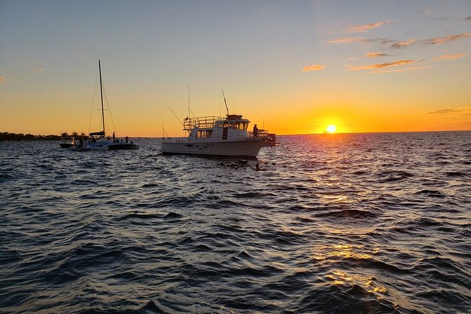 Manta Ray Night Snorkel in Kona - How the lights and feeding zone work for better manta viewing