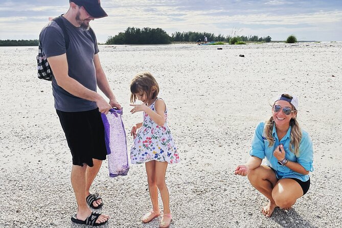 Marco Island Wildlife Sightseeing and Shelling Tour - Wildlife sightings: what you can hope for, and how to think about it