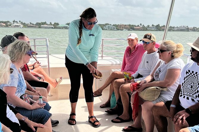 Marco Island Wildlife Sightseeing and Shelling Tour - Who this tour fits best