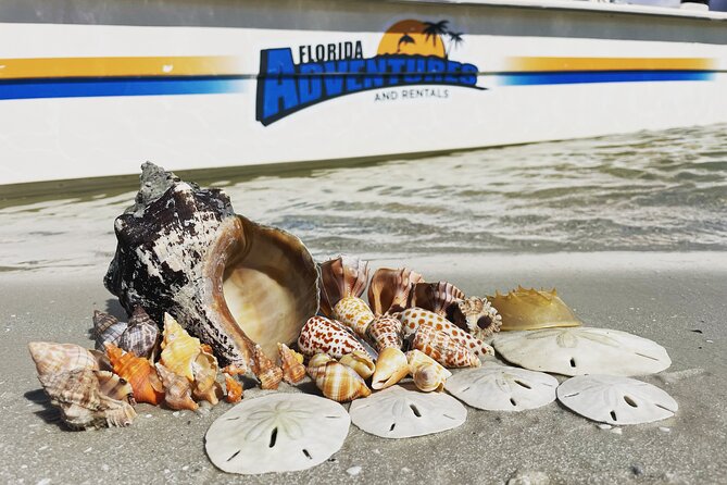 Marco Island Wildlife Sightseeing and Shelling Tour - What the guide actually does on the water