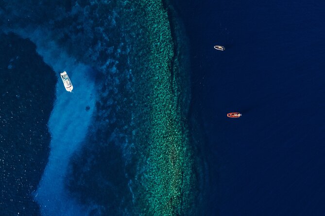 Maui: 2-Hour Molokini Snorkel Trip - Timing Your Day: 7:00 AM vs 9:30 AM