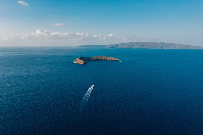 Maui: 2-Hour Molokini Snorkel Trip - The Raft Ride from Kihei: Fast, Fun, and Wildlife-Forward