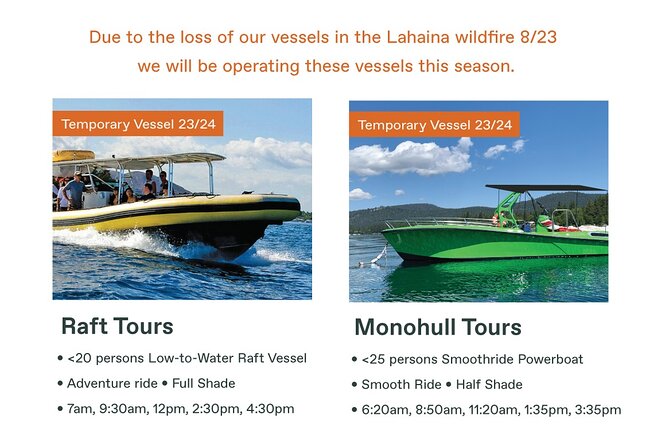 Maui Eco-Raft Tour: Eye-Level Whale or Dolphin Watching - Lahaina - Stop 2 in Maui Waters: How Whale Watching (and Dolphin Watching) Plays Out