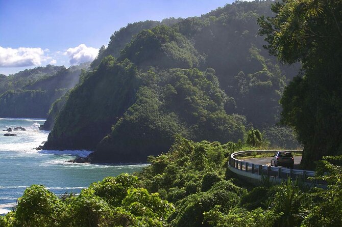 Maui: Famous Road to Hana Waterfalls and Lunch by Mercedes Van - Road to Hāna without the white-knuckle part