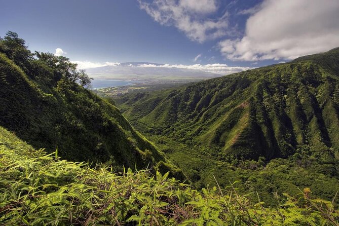 Maui Horseback Adventure at Circle M Ranch With Real Cowboys - Key things to know before you go
