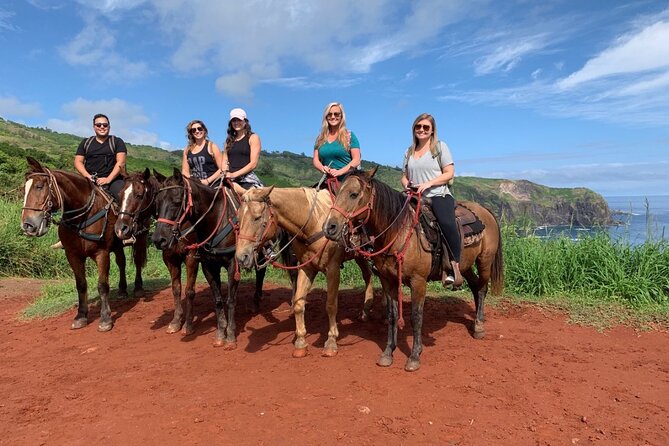 Maui Horseback Adventure at Circle M Ranch With Real Cowboys - The 45-minute start: safety, fitting your horse, and first confidence
