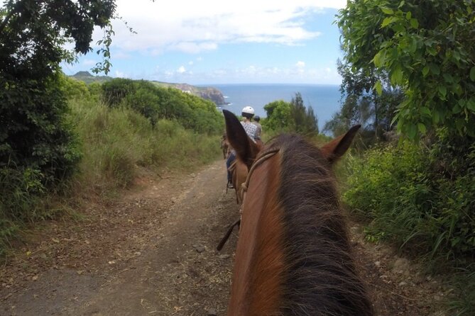 Maui Horseback Adventure at Circle M Ranch With Real Cowboys - Climbing back through taro patches and plantation country