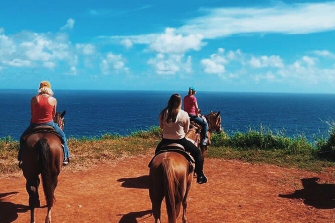Maui Horseback Adventure at Circle M Ranch With Real Cowboys - Finding the ranch: Mendes Ranch to Circle M Ranch