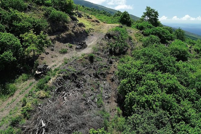 Maui: Lahaina ATV Adventure - Puu Kukui Watershed Preserve: what you actually get out on the trails