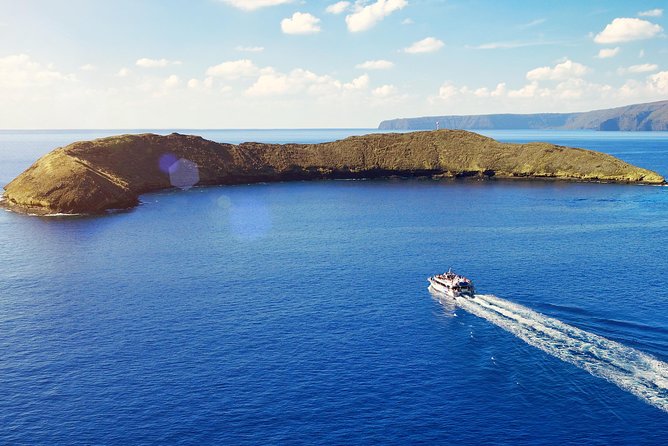 Maui: Molokini and Turtle Town Snorkeling aboard Pride of Maui - Pride of Maui check-in, Maalaea Harbor setup, and what to pack