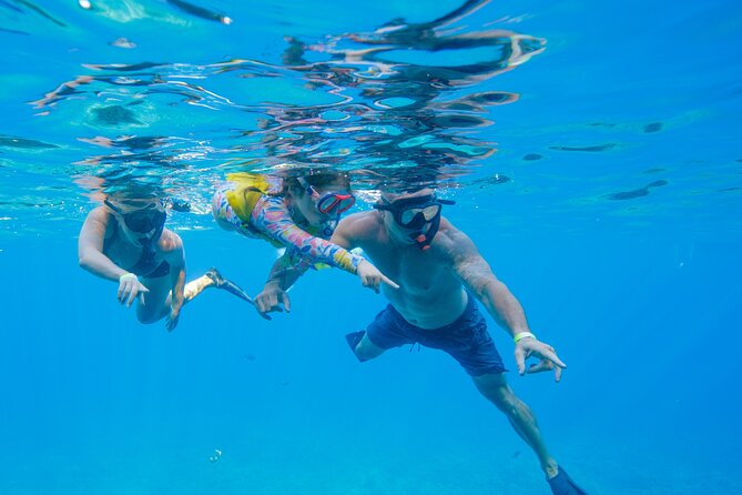 Maui: Molokini Crater and Turtle Town Snorkeling From Kihei - Group size: why a maximum of 19 matters in real life