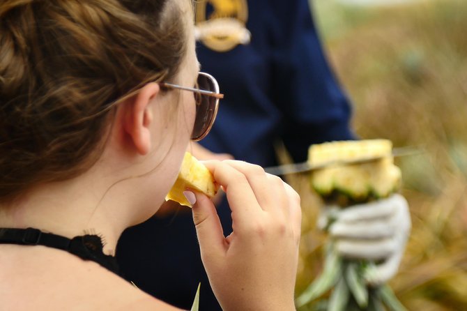 Maui Pineapple Farm Tour in Haliimaile - Getting Around: Mini Coach, Steps, and Why Comfort Matters