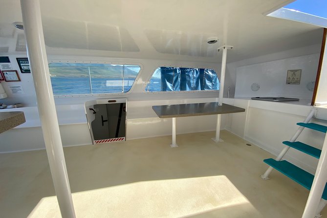 Maui Premium Sunset Dinner Cruise from Ka’anapali Beach - Who This Cruise Fits Best, and Who Might Want Another Option