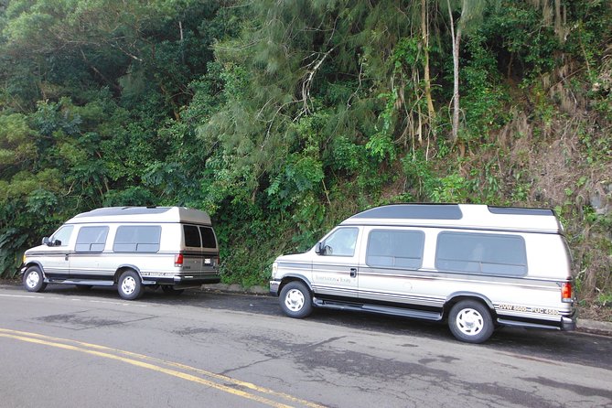 Maui: Road to Hana Luxury Limo-Van Tour with Helicopter Flight - Who This Tour Fits Best (and Who Might Prefer Something Simpler)