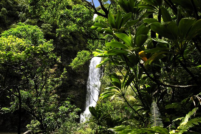 Maui: Road to Hana Luxury Limo-Van Tour with Helicopter Flight - Hana Village and the Garden Stop: Culture, Falls, and a Swim If Conditions Allow
