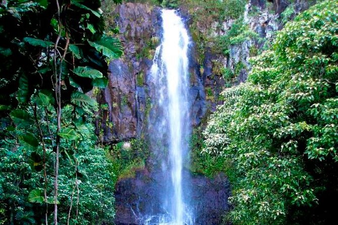 Maui: Small Group Road to Hāna Tour 6 to 8 passengers - Keanae and Aunty Sandy’s banana bread: where Hana starts to feel real