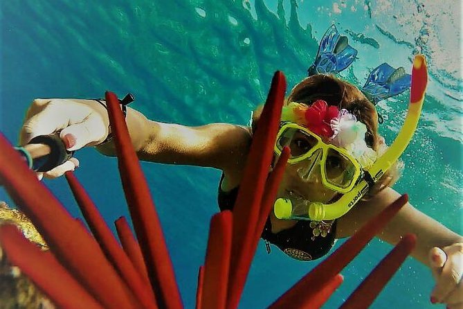 Maui Snorkel Adventure: Molokini Crater and Turtle Cove - How the Molokini and Turtle Cove Half-Day Actually Feels