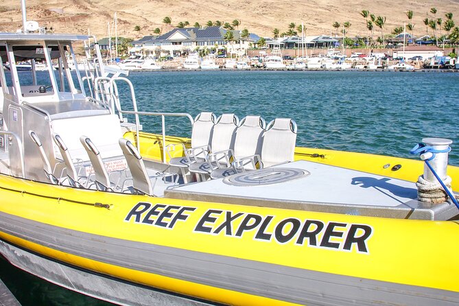 Maui Snorkel Adventure: Molokini Crater and Turtle Cove - What You Get for $198: Value That Comes From Time in the Water
