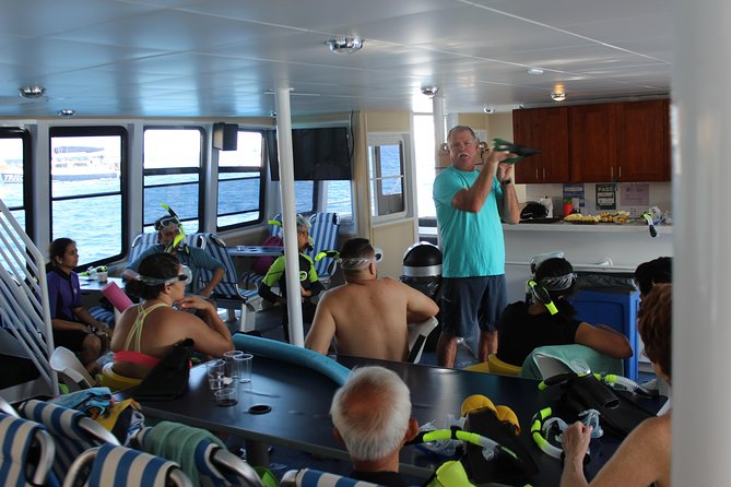 Maui Snorkeling Adventure From Ma'alaea Harbor to Molokini - Stop 1: Molokini Crater snorkeling and what you can actually look for