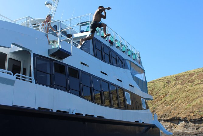 Maui Snorkeling Adventure From Ma'alaea Harbor to Molokini - Stop 2: Turtle Town and how to maximize your turtle time