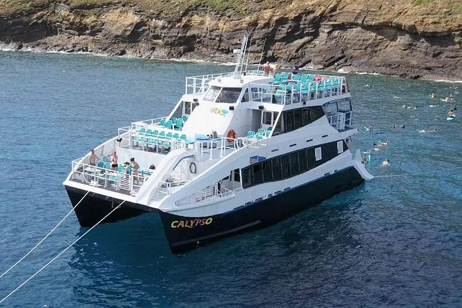 Maui Snorkeling Adventure From Ma'alaea Harbor to Molokini - Price and timing: why that 7:30am departure matters