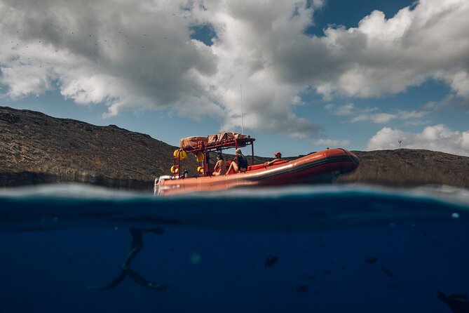 Maui South Coast and Molokini Crater Adventure from Kihei - Why Molokini early makes a real difference in your snorkel day