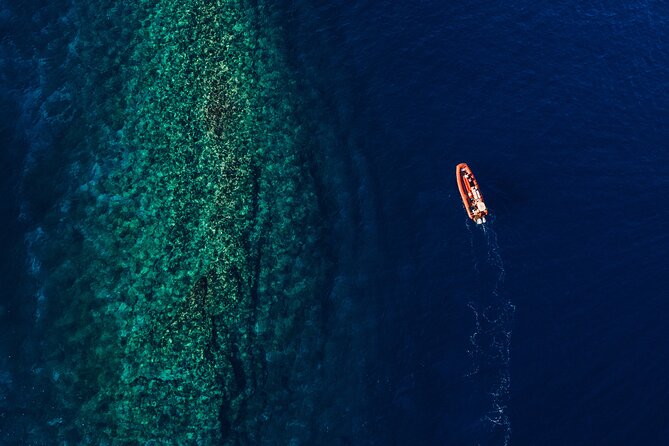 Maui South Coast and Molokini Crater Adventure from Kihei - Stop 2 and Stop 3 setup: Turtle Town and the chance to snorkel with green sea turtles