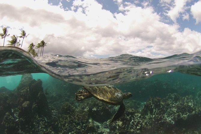 Maui South Coast and Molokini Crater Adventure from Kihei - Stop 1 at Molokini Crater: clear water, tropical fish, and the rare back wall