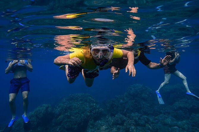 Maui: Turtle Town Snorkel with Photo and Video - The 1 hour Turtle Town swim, and what your guide does for you