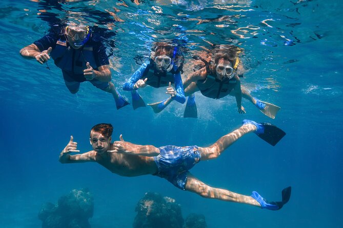 Maui: Turtle Town Snorkel with Photo and Video - Sea turtles, plus the other critters you might actually remember